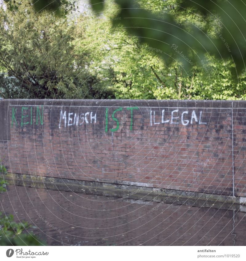 no man is illegal Art Graffiti Typography Nature Spring Summer Tree Park Duesseldorf Wall (barrier) Wall (building) Brick Characters Remark Meaningful Authentic