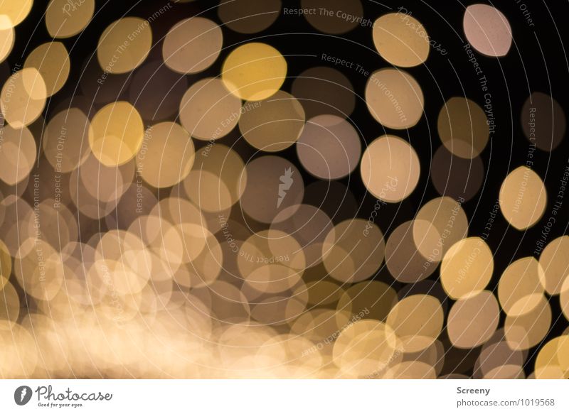 Christmas glitter Night life Event Christmas Fair Glittering Illuminate Gold Moody Blur Colour photo Exterior shot Abstract Deserted Evening Artificial light