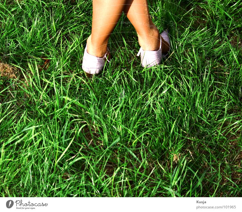 ^ Footwear Stockings Grass Green Meadow Straw Woman Feet Back