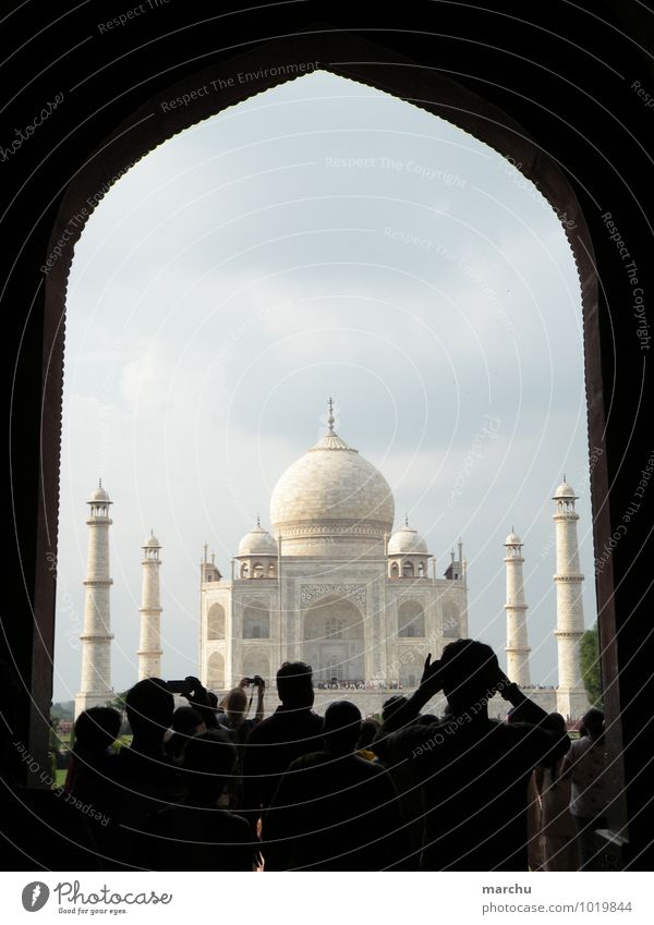 Taj Mahal view India Asia Palace Architecture Facade Tourist Attraction Monument Exotic Vacation & Travel Religion and faith Colour photo Exterior shot Day