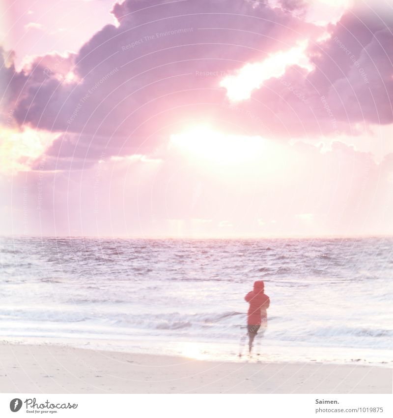 Bye, dear Anne! And always beautiful towards the sun! Human being Woman Adults Body 1 Nature Landscape Elements Water Sky Clouds Sun Wind Waves Coast Beach