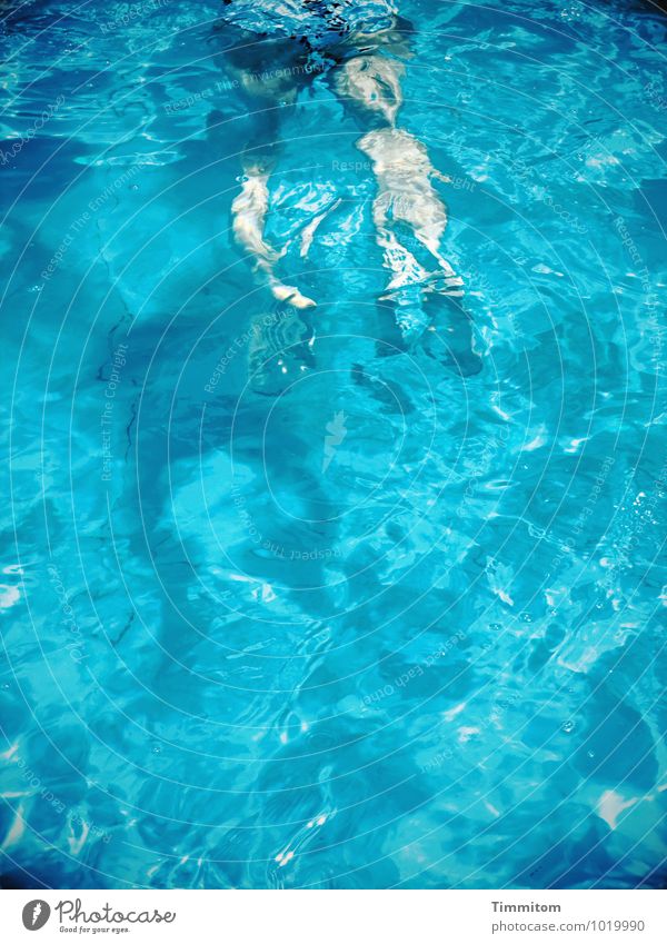 blue Swimming & Bathing Feminine Legs Feet 1 Human being Swimming pool Water Esthetic Cold Athletic Blue Joie de vivre (Vitality) Colour photo Exterior shot