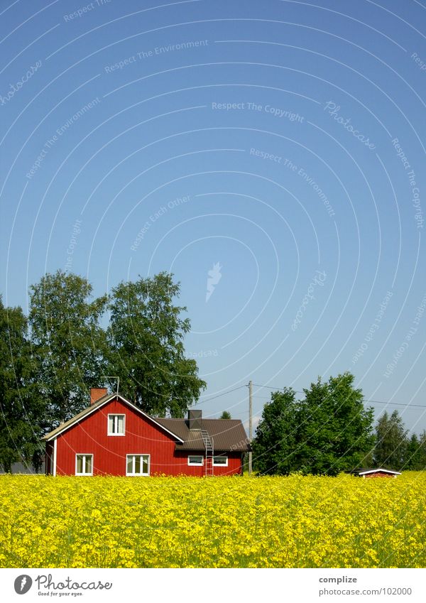 blue, green, red and yellow Beautiful Vacation & Travel Summer House (Residential Structure) Agriculture Forestry Cable Climate Weather Tree Field Hut Window