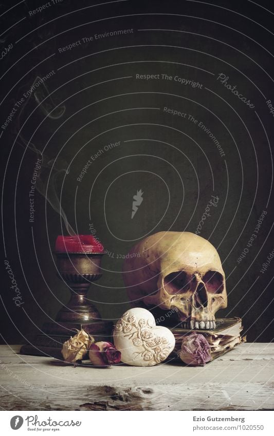 Vanitas with Skull, Candle, Book and Heart Life Human being Art Work of art Painting and drawing (object) Plant Rose Diet Old Love Smoking Sadness Dark Creepy