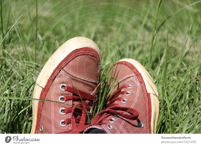 buzzer time Lifestyle Style Well-being Contentment Relaxation Summer Sun Meadow Fashion Footwear Sneakers Chucks Green Red Cool (slang) Serene Calm converse