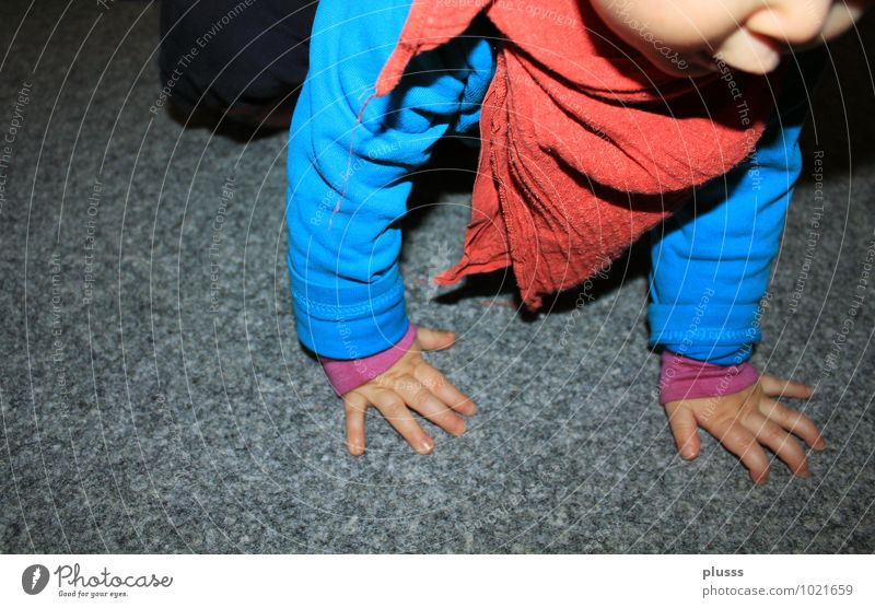 "World Tour" Child Baby Toddler Infancy Arm Hand 1 Human being 0 - 12 months 1 - 3 years Movement Going Walking Study Blue Red Joie de vivre (Vitality)