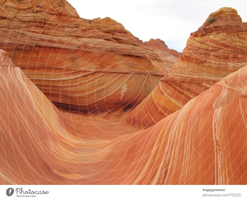 wave Arizona Utah Waves the wave vermillion cliffs USA Rock Stone Sand Wind