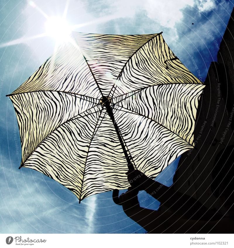 RADIOACTIVE XIII Style Action Sunshade Pattern Summer Sky Things Silhouette Weather protection Warmth Protection To hold on Tiger skin pattern Striped