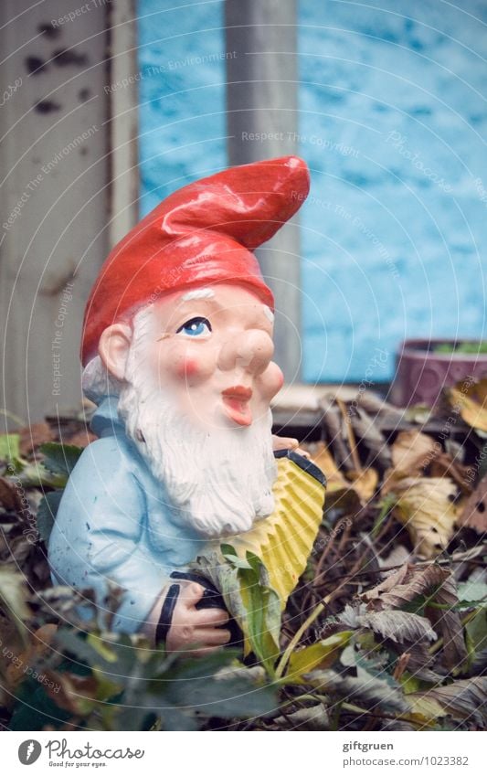 we want to be bourgeois! Garden gnome Kitsch Accordion Santa Claus hat Dwarf Facial hair Staid Petit bourgeois Leaf Germany Meticulous Obstinate Decoration