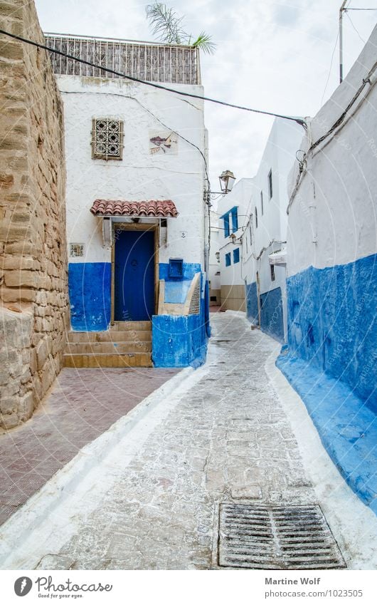 Kasbah de Oudaïa 2 Rabat Morocco Africa Old town Vacation & Travel Living or residing Alley Blue White Colour photo Exterior shot Deserted Day