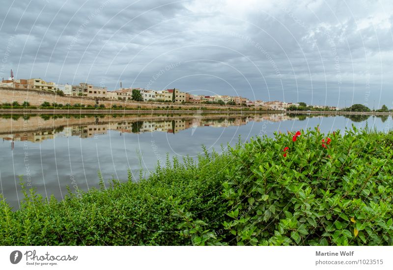 Basin Agdal Pond Meknes Morocco Africa Town Idyll Vacation & Travel Calm Palace Circle Moulay Ismail Ville Imperial Reflection overcast Colour photo