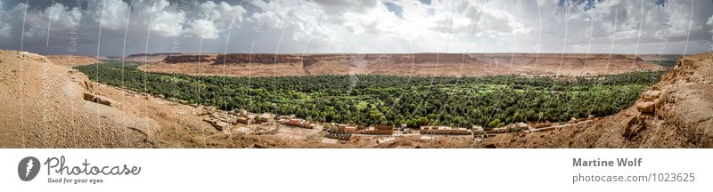Vallée du Ziz Panorama Nature Landscape Elements Water Storm clouds Canyon Oasis Morocco Africa Threat Survive Ziz Valley Panorama (Format) Colour photo