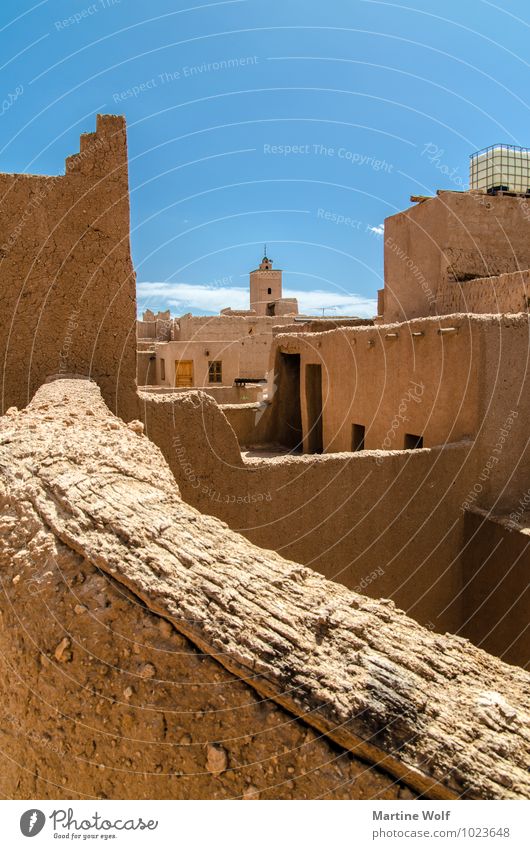Morocco Cloudless sky Africa House (Residential Structure) Mosque Vacation & Travel antiatlas Loam Colour photo Exterior shot Deserted Day