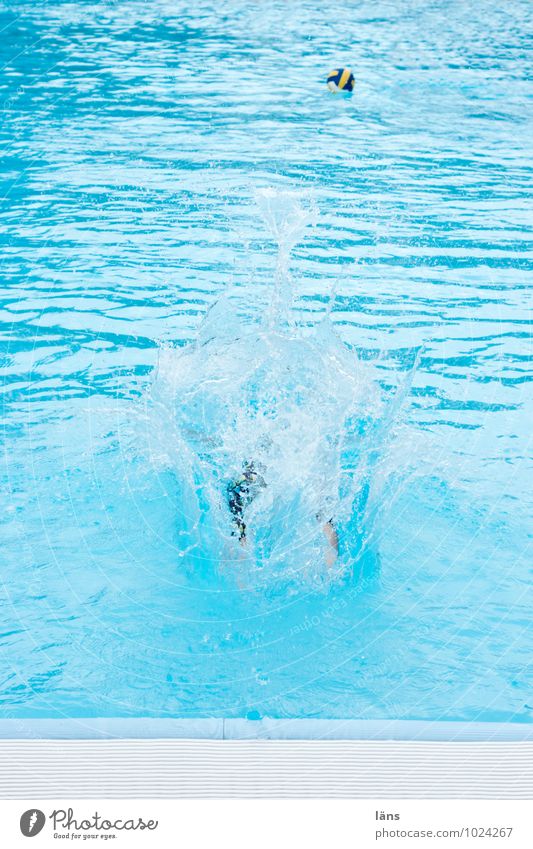 Dive into the pool Wellness Swimming & Bathing Leisure and hobbies Vacation & Travel Tourism Trip Summer Summer vacation Sports Fitness Sports Training