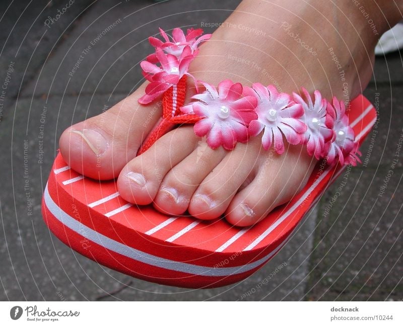 Woman Wearing Flip Flops Stock Photo, Picture and Royalty Free