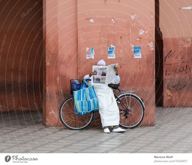 reading Human being Masculine Man Adults 1 Marrakesh Morocco Africa Wall (barrier) Wall (building) Facade Bicycle Reading Wait Serene Djemaa el-Fna El Ksour