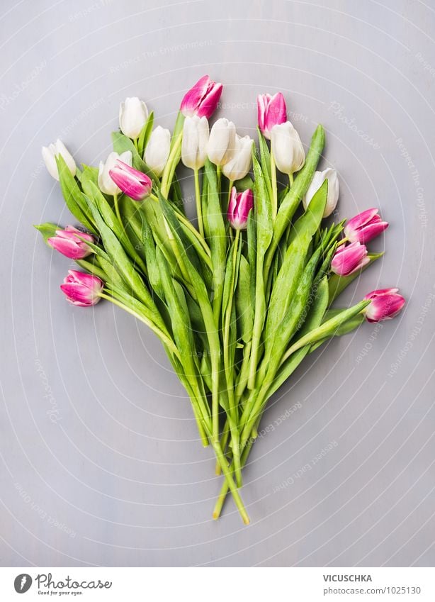 Tulips Bouquet of flowers Style Design Summer Feasts & Celebrations Valentine's Day Mother's Day Wedding Birthday Nature Plant Spring Love Pink Arranged Flower