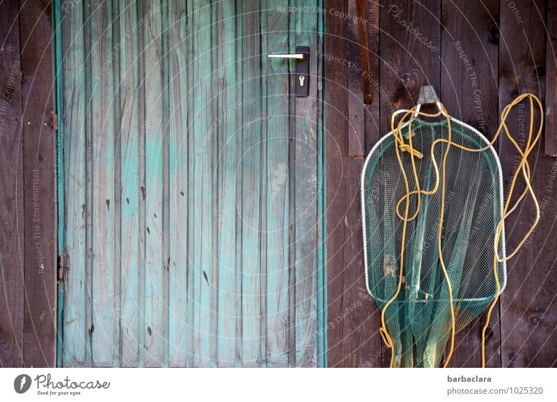 Still life with old fashioned fishing net hanging on wooden wall