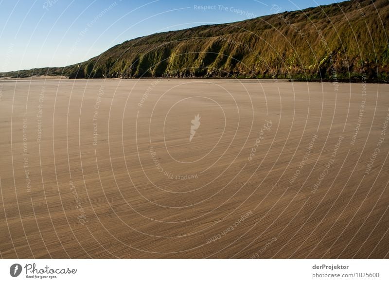 Ebb tide in Cornwall Leisure and hobbies Vacation & Travel Tourism Trip Adventure Far-off places Freedom Environment Nature Landscape Plant Elements Spring