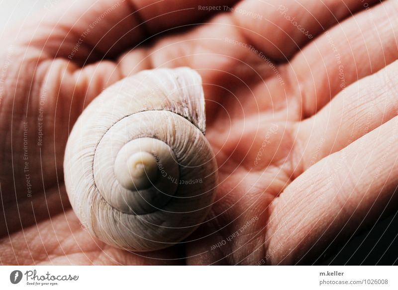 find Human being Skin Hand Crumpet Snail Esthetic Eroticism Protection Feeble Senses Environment Environmental pollution Environmental protection Colour photo
