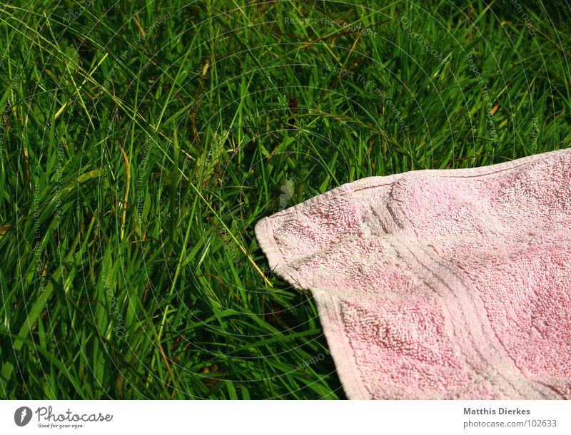 Drying Hands Paper Towel Royalty-Free Images, Stock Photos & Pictures