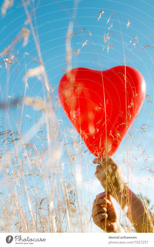 true feelings Hand Cloudless sky Summer Beautiful weather Grass Meadow Balloon Heart Blue Red Emotions Happy Love Infatuation Relationship Multicoloured
