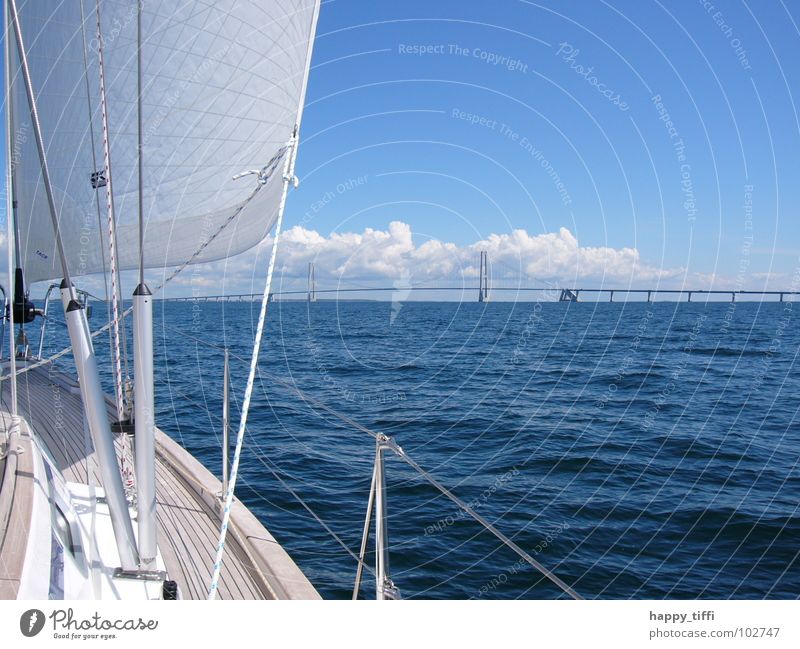 Sailing in Denmark Ocean Waves Breeze Vacation & Travel Beautiful Calm Relaxation Lake White Europe Sailing trip Aquatics Sport boats On board Watercraft Clouds
