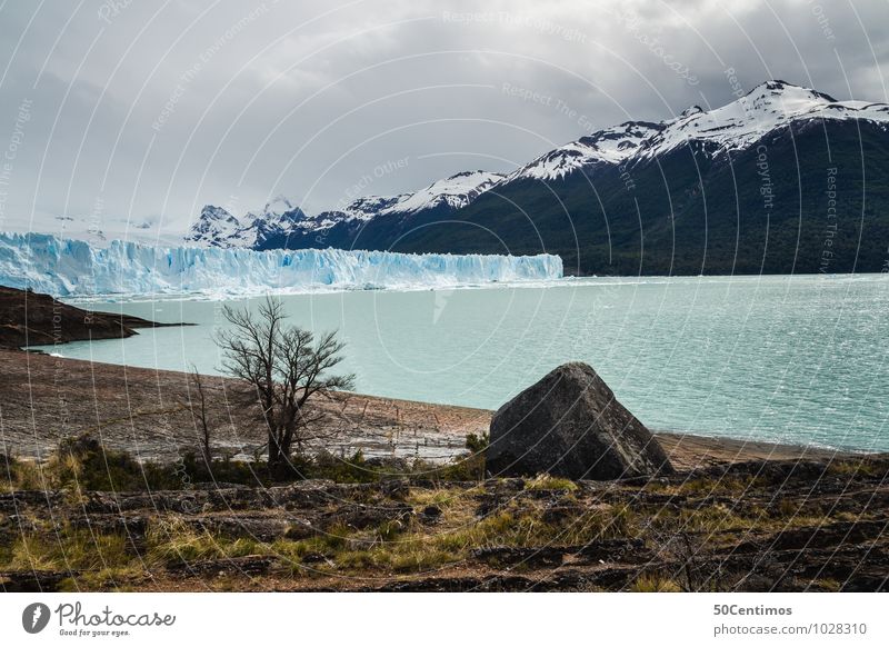 Perito Moreno Glacier in Patagonia - Argentina Vacation & Travel Tourism Trip Adventure Far-off places Freedom City trip Environment Nature Landscape