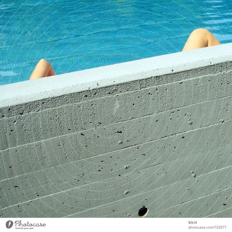 Summer Swim — Those White Walls