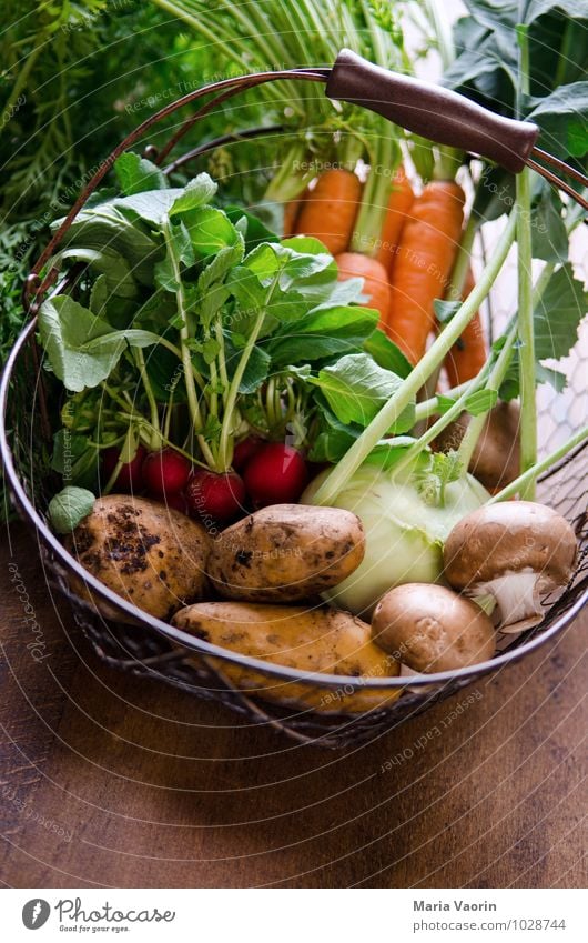 All kinds of vegetables 3 Food Vegetable Nutrition Organic produce Vegetarian diet Diet Healthy Kitchen Dirty Fresh Delicious Natural vegetable basket