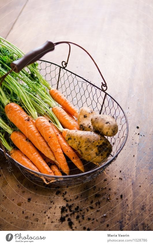 Garden vegetables 2 Food Vegetable Nutrition Organic produce Vegetarian diet Diet Healthy Kitchen Earth Dirty Fresh Delicious Carrot Potatoes Basket