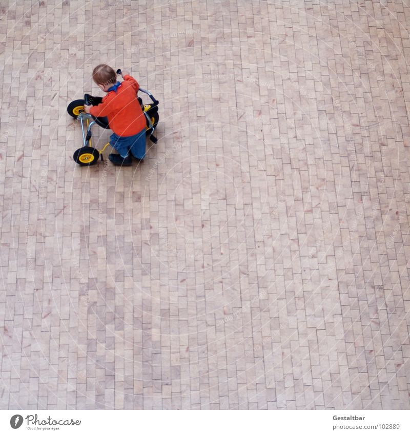 Hardy Child Tricycle Dwarf Conduct Boy (child) Toddler Wooden floor Parquet floor Hallway Bird's-eye view Small Toys Playing Driving Cute Formulated Above Joy