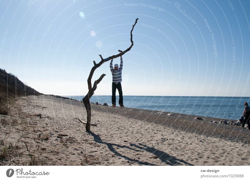 Youth hanging from a tree on the beach of Hiddensee younger Beach Blue Sandy beach