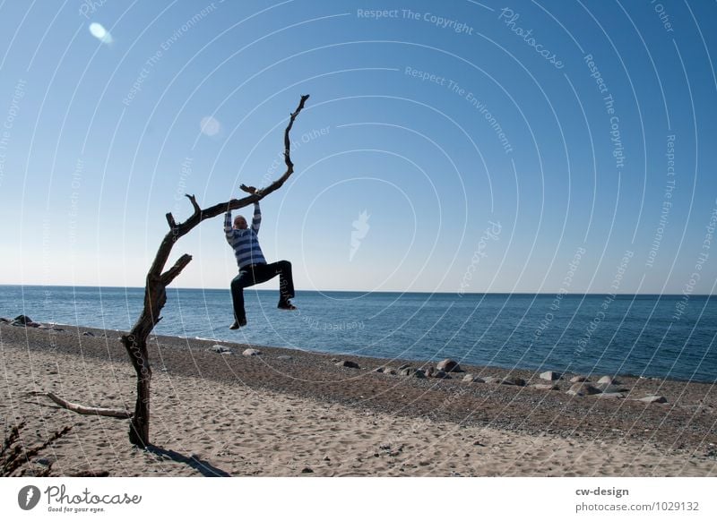 Youth hanging from a tree on the beach of Hiddensee person Beach Blue beach sand