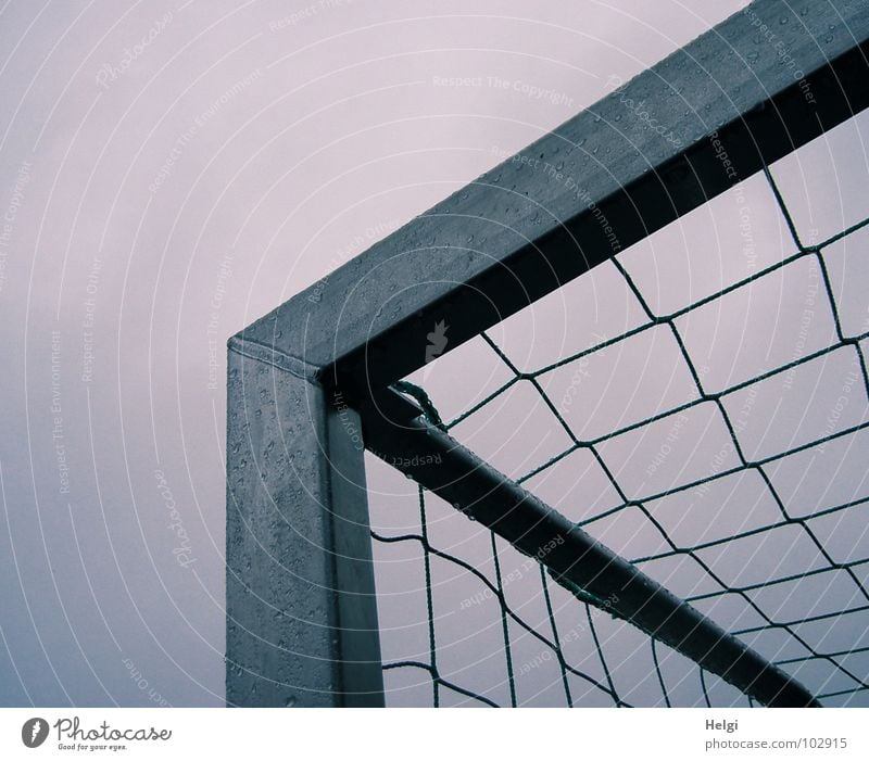 upper corner of a soccer goal with net in front of grey sky Playing Sporting event Ball sports Rod Prop Gray Green Wet Passion Vertical Stand Reticular