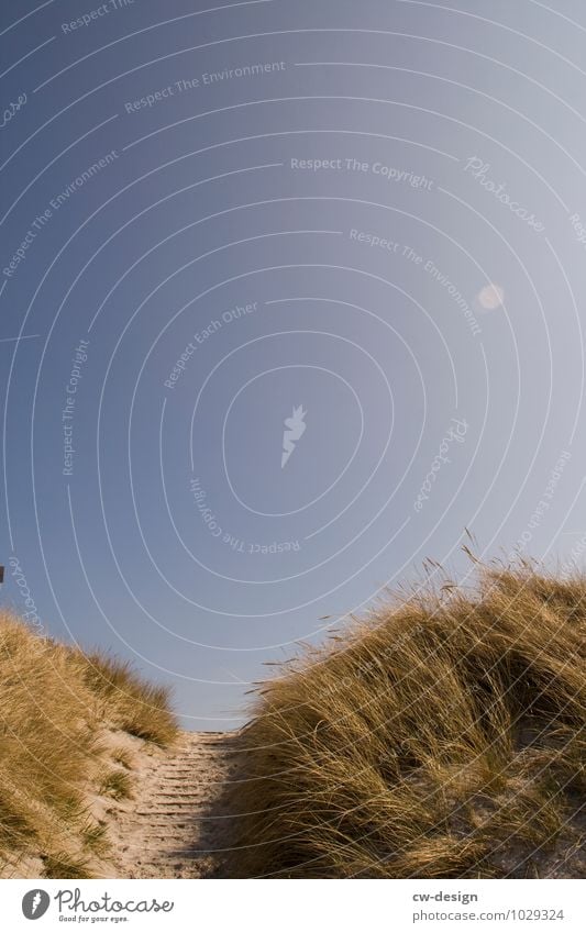 Hiddensee Baltic Sea Ocean Nature Colour photo coast Island