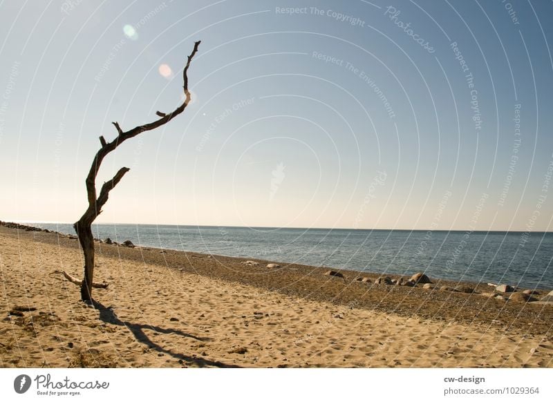 Hiddensee Baltic Sea coast Ocean Nature Island