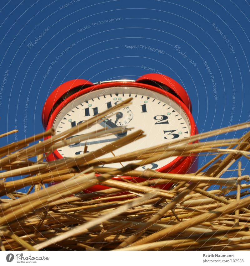 Harvest time II Alarm clock Clock Red Time Straw Bale of straw Transience Harmonious Agriculture Rural temporal Sky Digits and numbers Blue Americas