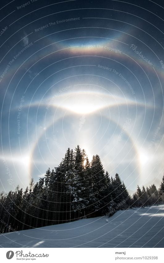 The glitter and shine of ice crystals. Parry arc, circumzenithal arc, parhelia, horizontal circle. Natural phenomenon. Nature Landscape Sky Cloudless sky Winter