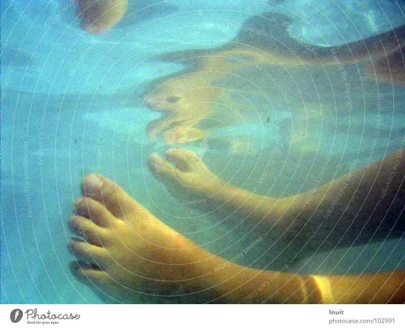 in the pool Swimming pool Relaxation Vacation & Travel Chlorine Toes Water Feet Swimming & Bathing Foot bath Wash Barefoot