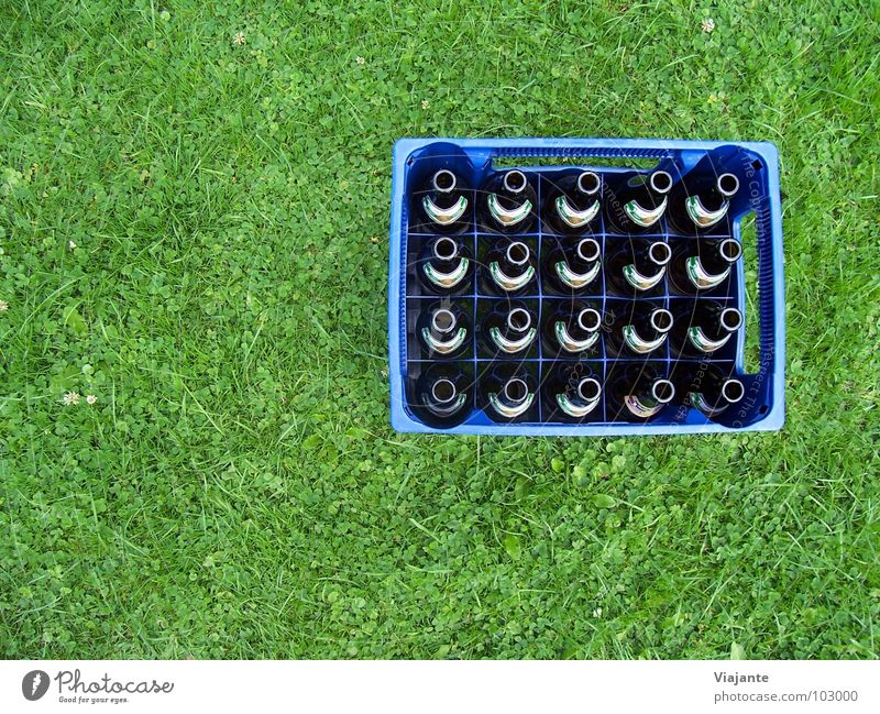 20 empty necks - reloaded. Beer Case of beer Bottle of beer Deposit bottle Beverage Refreshment Meadow Grass Nature Green Alcoholism Cold drink Alcohol-fueled