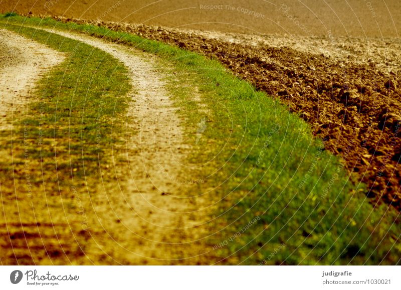 acre Agriculture Forestry Nature Plant Earth Field Lanes & trails Natural Brown Green Curve Tracks Grass Colour photo Exterior shot Deserted Day