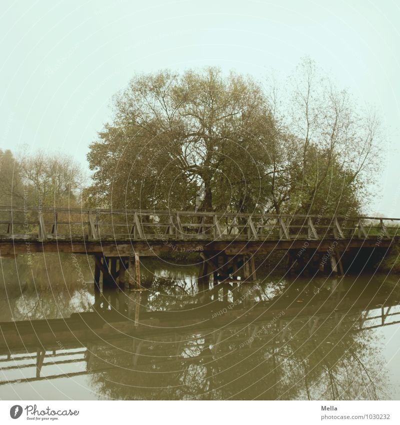 Bye, dear Anne! And don't tear down all bridges. ;-) Environment Landscape Water Tree Lakeside River bank Pond Bridge Wooden bridge Lanes & trails