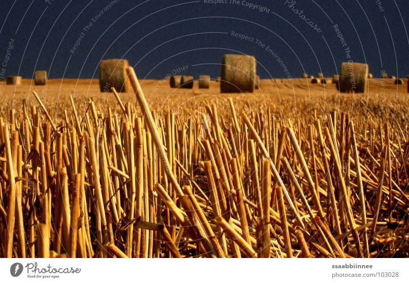 Bales of straw after the rain Bale of straw Dark Field Summer Stopper Grain Harvest Sky Gold Illuminate