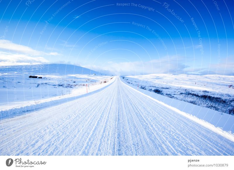 freeway Vacation & Travel Adventure Far-off places Freedom Winter Snow Winter vacation Nature Landscape Sky Cloudless sky Sun Sunlight Beautiful weather
