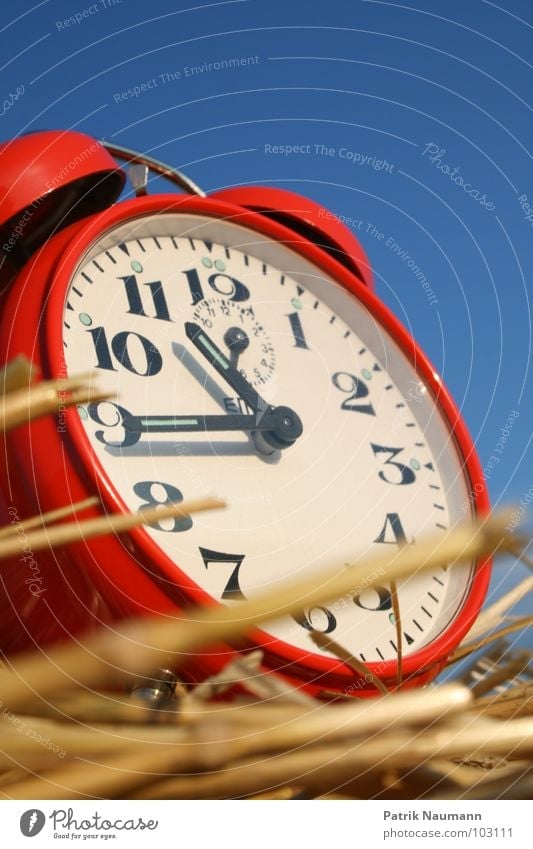 Harvest time III Alarm clock Clock Tick tock Red Digits and numbers Straw Agriculture Rural Harmonious Clock hand Sky Blue Contrast Exterior shot