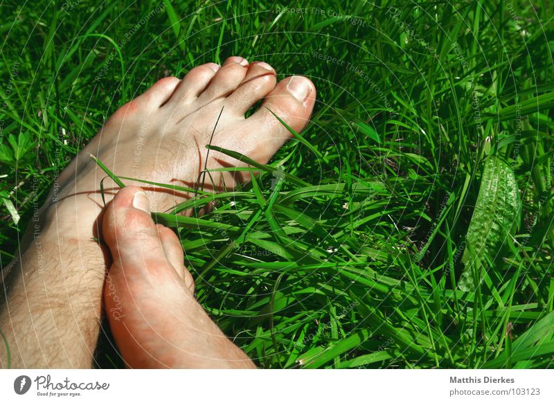 At the lake Barefoot Summer Lake Beach Meadow Lawn for sunbathing Reading Footwear Healthy Relaxation To enjoy Leisure and hobbies Air Sunday Saturday Weekend