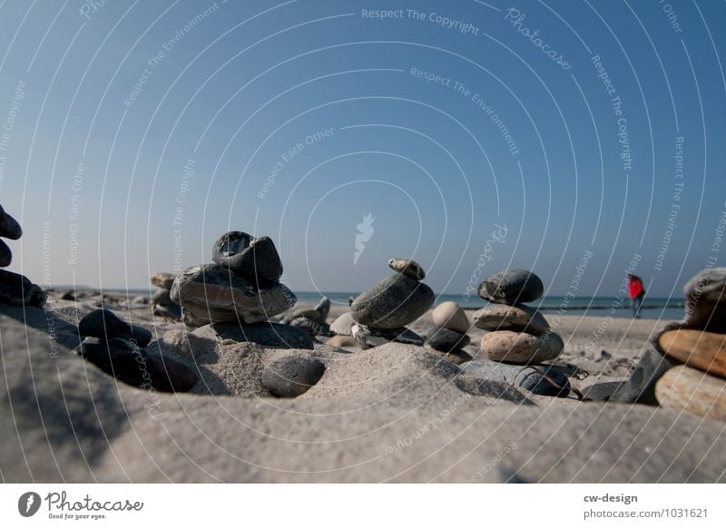 Stones on the sandy beach stones Beach Water Hiddensee Sand coast