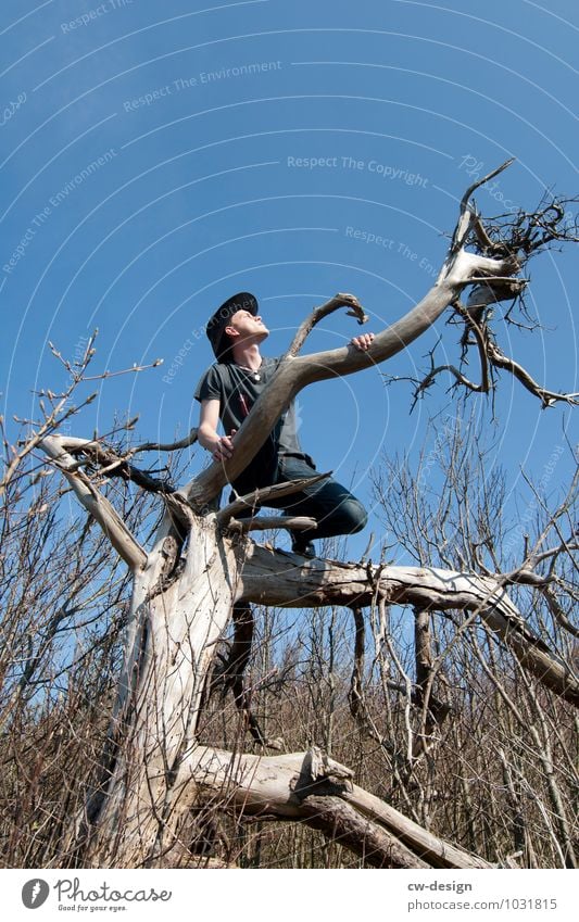 Teenager in a tree on Hiddensee Tree person Blue dead tree Gray