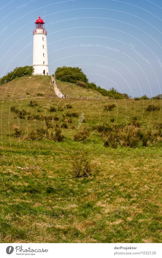 Well visible: Lighthouse at Hiddensee Leisure and hobbies Vacation & Travel Tourism Trip Adventure Far-off places Freedom Environment Nature Landscape Plant